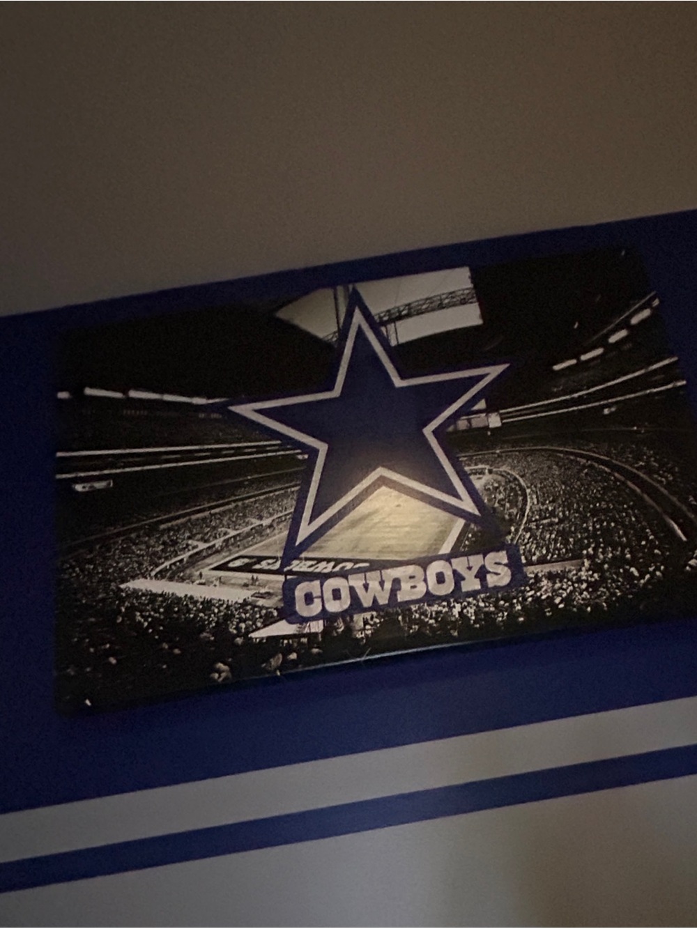 NFL Dallas Cowboys Blue and White Star Stadium Canvas 3’ x 2’